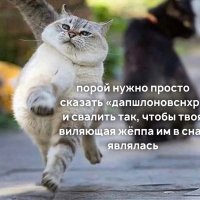 В снах являлась