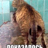 Показалось