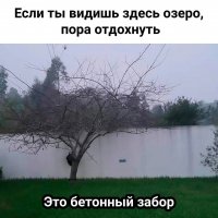 Что видите вы?