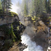 Canada Jasper National Park Alberta