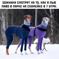 ЗОЖники