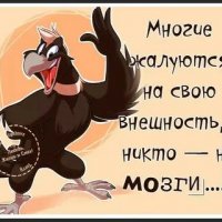 На мозги никто не жалуется!