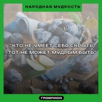 Народная мудрость