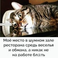 КотЭ)