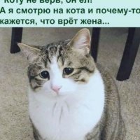 КотЭ)