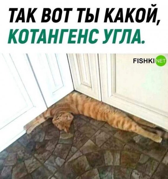 КОТангенс угла