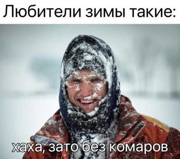 Зато без комаров