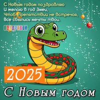 С новым 2025 годом!