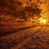 We-ourselves-must-walk-the-path-phil-koch