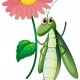 Green-bug-holding-pink-flower-white-background 1308-71212