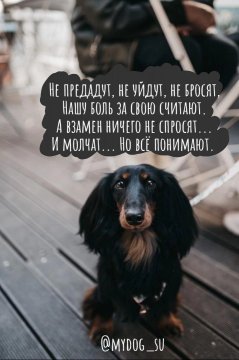 Не предадут...