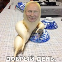 Добрый день