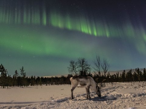 Кольский полуостров