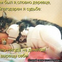 обнимашки