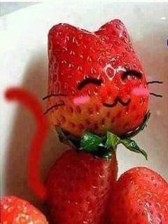 fruit-and-vegetable-cat-6-