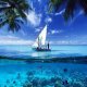 amazing-blue-boat-fishes-Favim.com-4310781