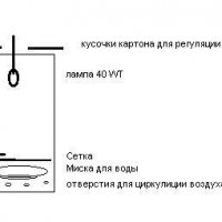 Инкубатор самодельный