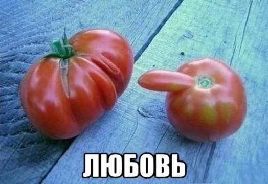 Любовь-это...