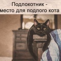 Подло..котник