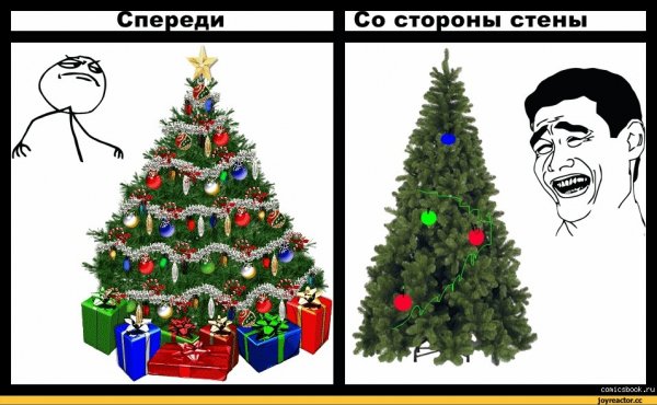 Спереди и сзади