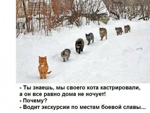 По местам боевой славы...